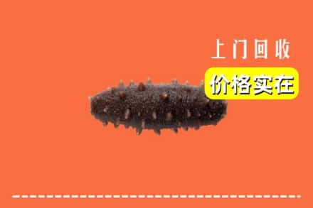 诚信求购:日喀则南木林高价回收海参