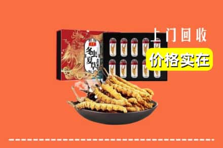 日喀则南木林回收虫草